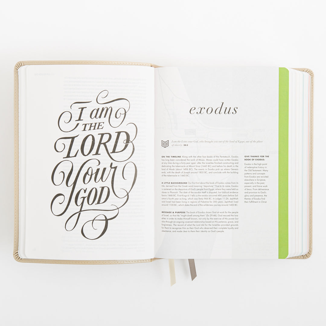CSB She Reads Truth Bible - Champagne Gold - LeatherTouch