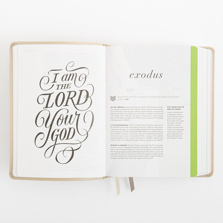 CSB She Reads Truth Bible - Champagne Gold - LeatherTouch