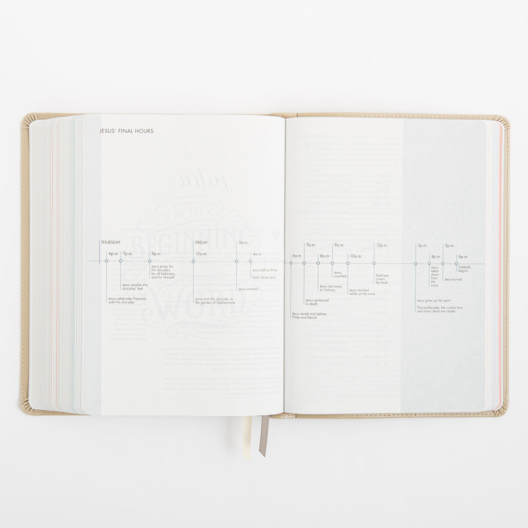 CSB She Reads Truth Bible - Champagne Gold - LeatherTouch