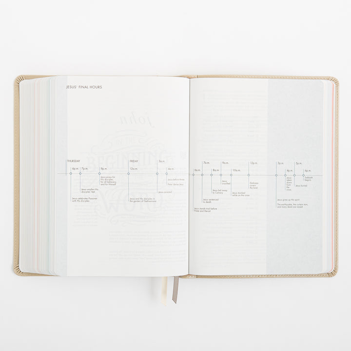 CSB She Reads Truth Bible - Champagne Gold - LeatherTouch