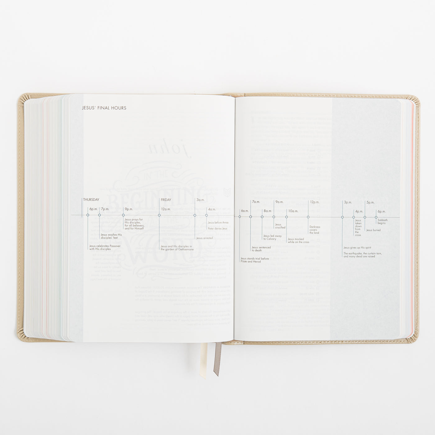 CSB She Reads Truth Bible - Champagne Gold - LeatherTouch