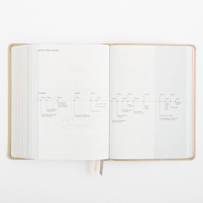 CSB She Reads Truth Bible - Champagne Gold - LeatherTouch