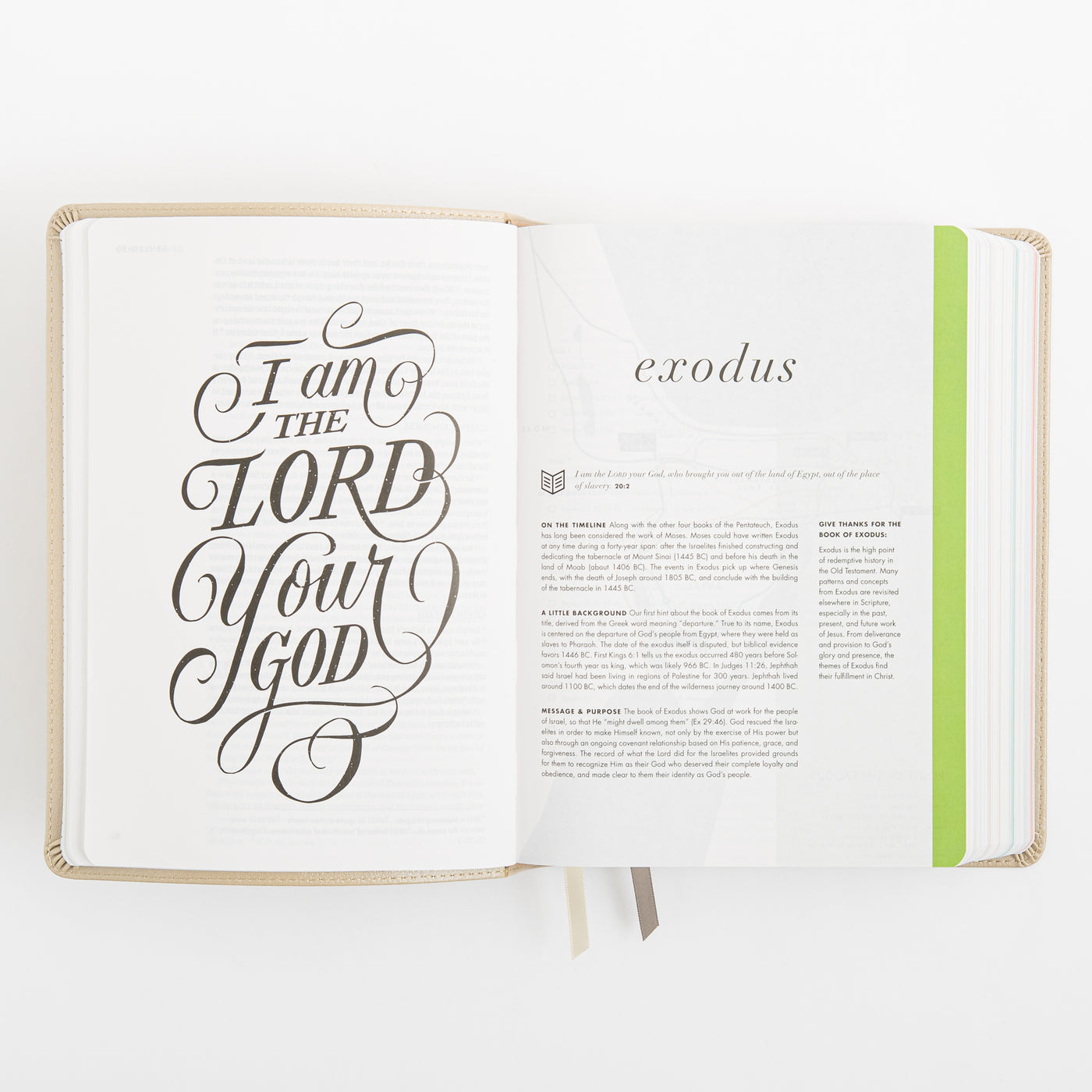 CSB She Reads Truth Bible - Champagne Gold - LeatherTouch