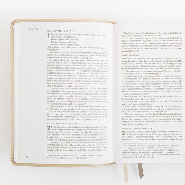 CSB She Reads Truth Bible - Champagne Gold - LeatherTouch