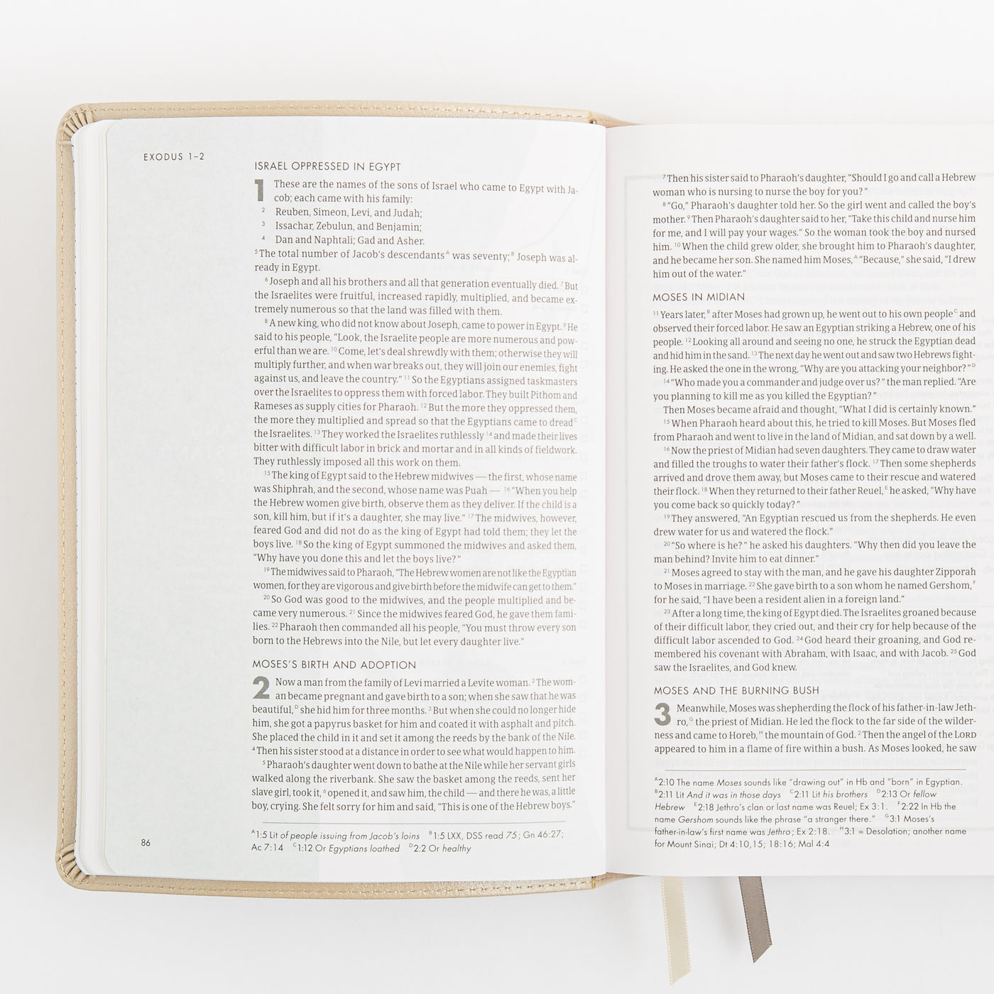 CSB She Reads Truth Bible - Champagne Gold - LeatherTouch
