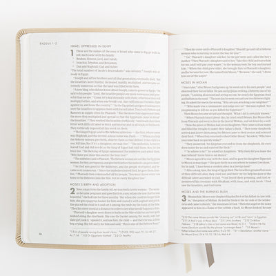 CSB She Reads Truth Bible - Champagne Gold - LeatherTouch
