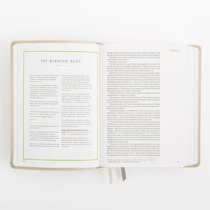 CSB She Reads Truth Bible - Champagne Gold - LeatherTouch