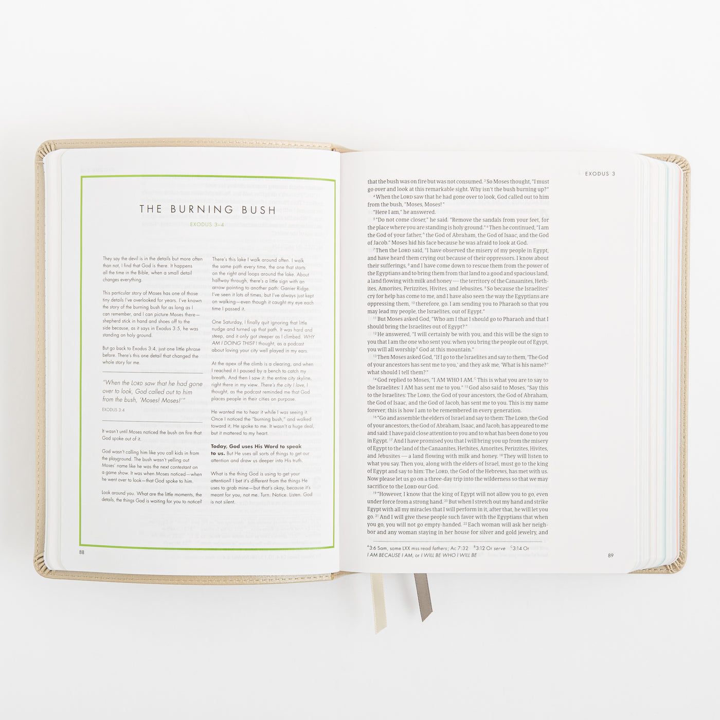 CSB She Reads Truth Bible - Champagne Gold - LeatherTouch
