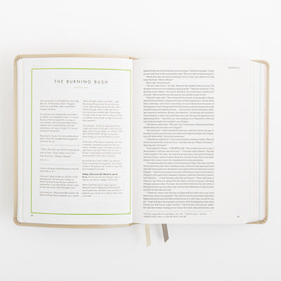 CSB She Reads Truth Bible - Champagne Gold - LeatherTouch