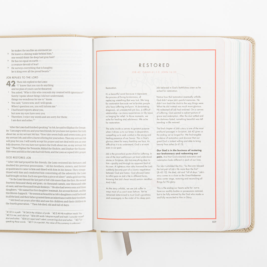 CSB She Reads Truth Bible - Champagne Gold - LeatherTouch