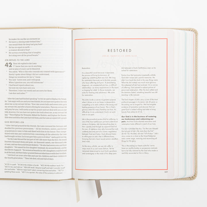 CSB She Reads Truth Bible - Champagne Gold - LeatherTouch