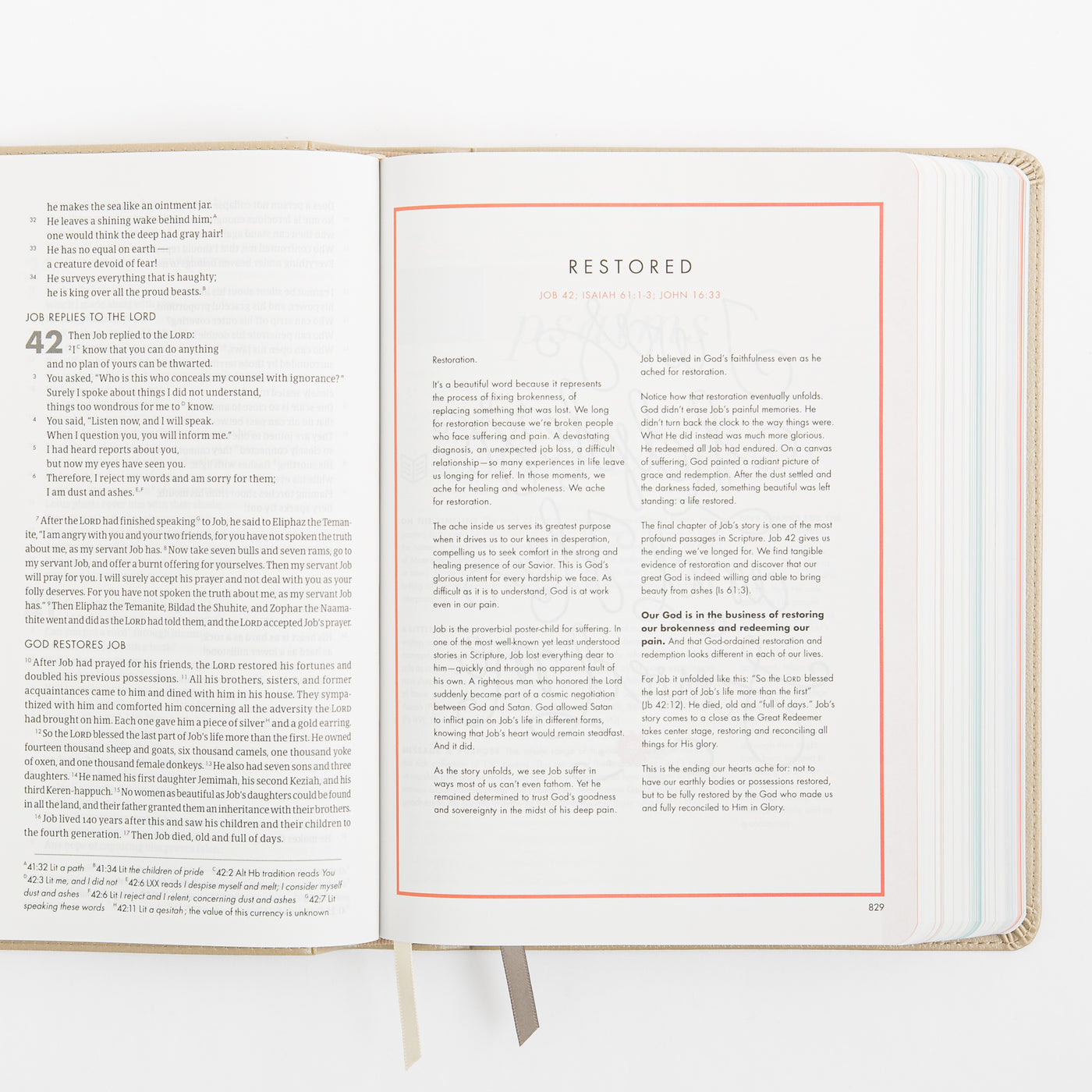 CSB She Reads Truth Bible - Champagne Gold - LeatherTouch
