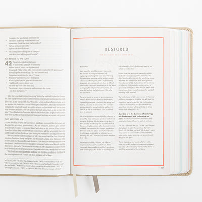CSB She Reads Truth Bible - Champagne Gold - LeatherTouch