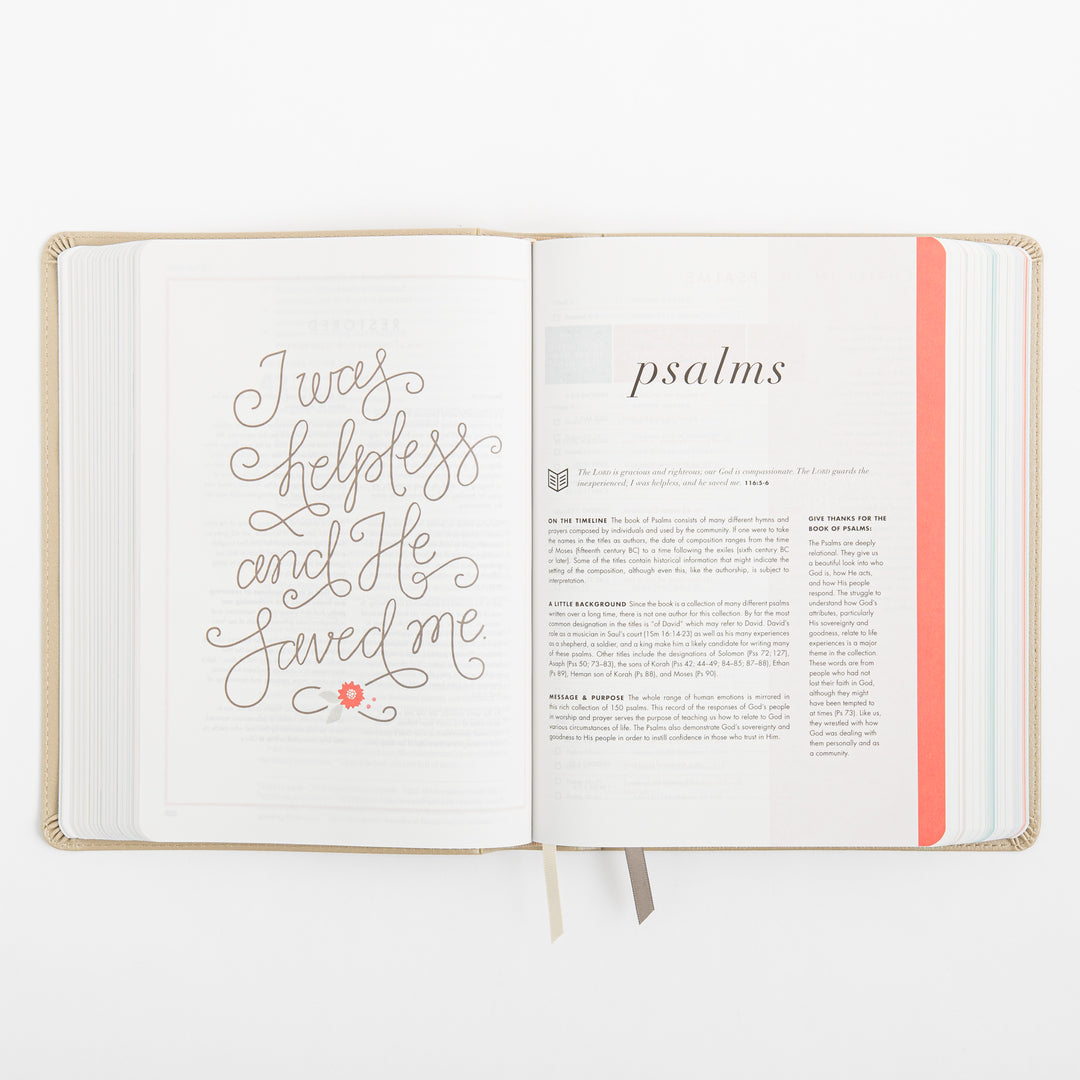 CSB She Reads Truth Bible - Champagne Gold - LeatherTouch
