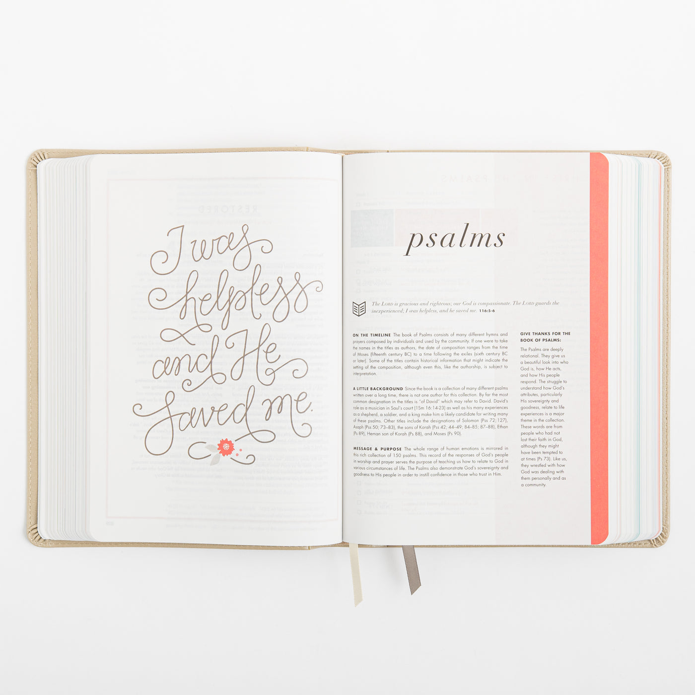 CSB She Reads Truth Bible - Champagne Gold - LeatherTouch