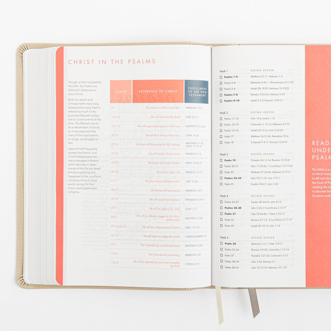 CSB She Reads Truth Bible - Champagne Gold - LeatherTouch