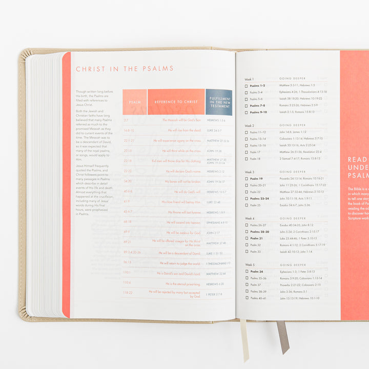 CSB She Reads Truth Bible - Champagne Gold - LeatherTouch