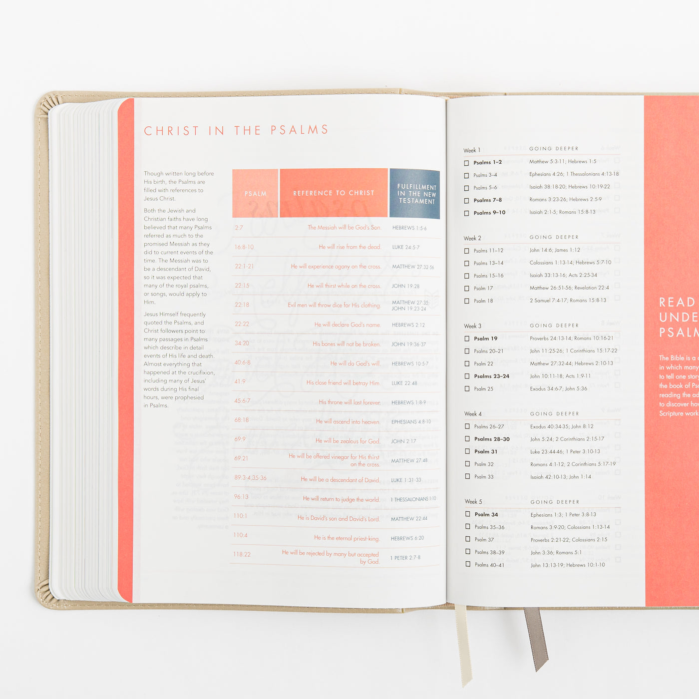 CSB She Reads Truth Bible - Champagne Gold - LeatherTouch