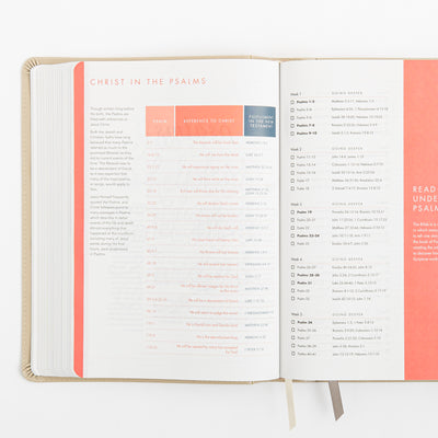 CSB She Reads Truth Bible - Champagne Gold - LeatherTouch