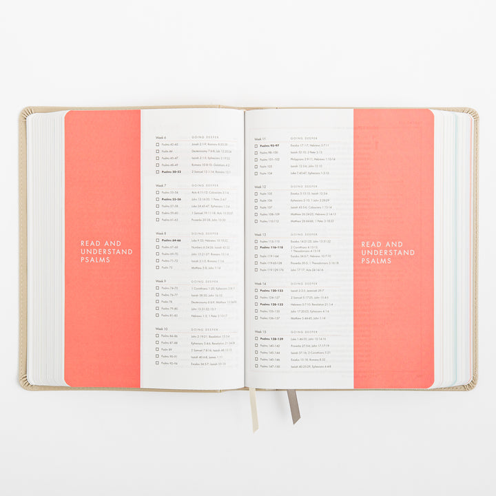CSB She Reads Truth Bible - Champagne Gold - LeatherTouch