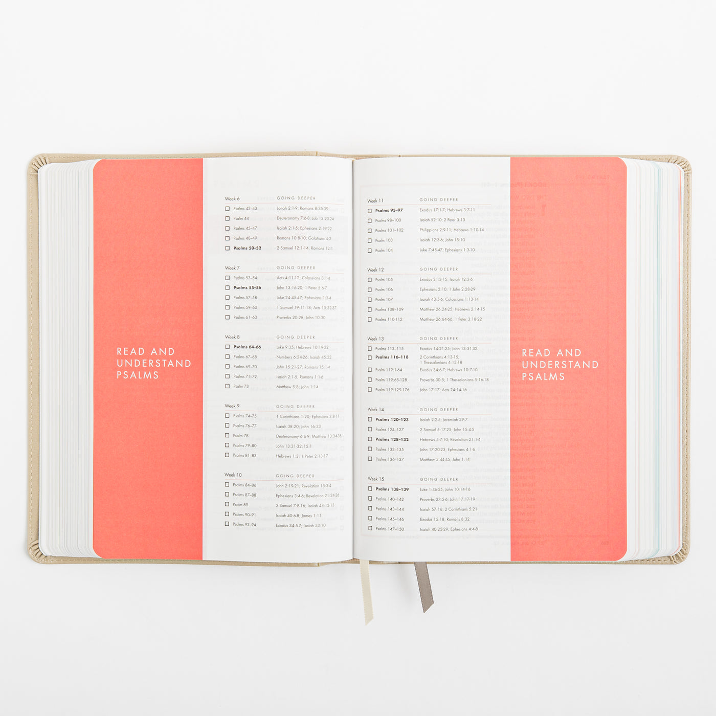 CSB She Reads Truth Bible - Champagne Gold - LeatherTouch