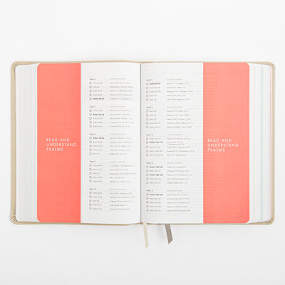 CSB She Reads Truth Bible - Champagne Gold - LeatherTouch
