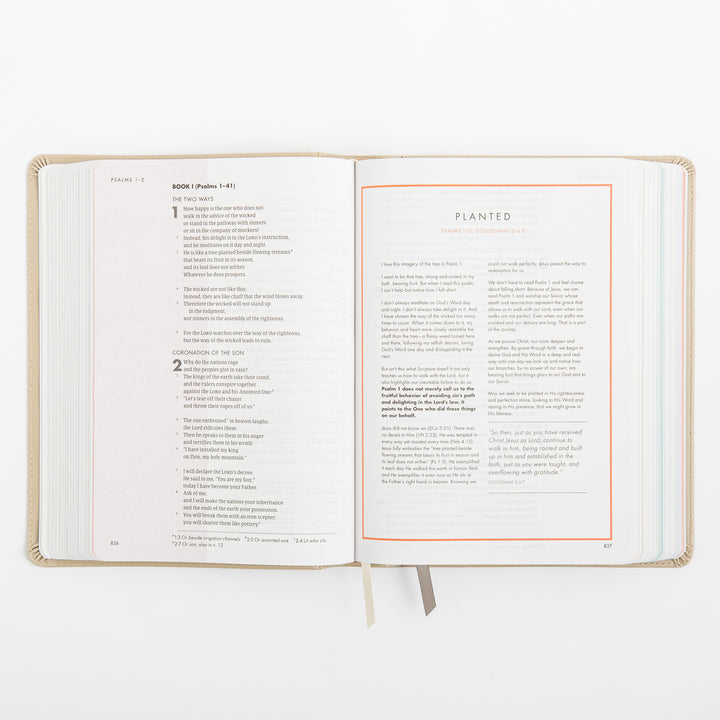 CSB She Reads Truth Bible - Champagne Gold - LeatherTouch