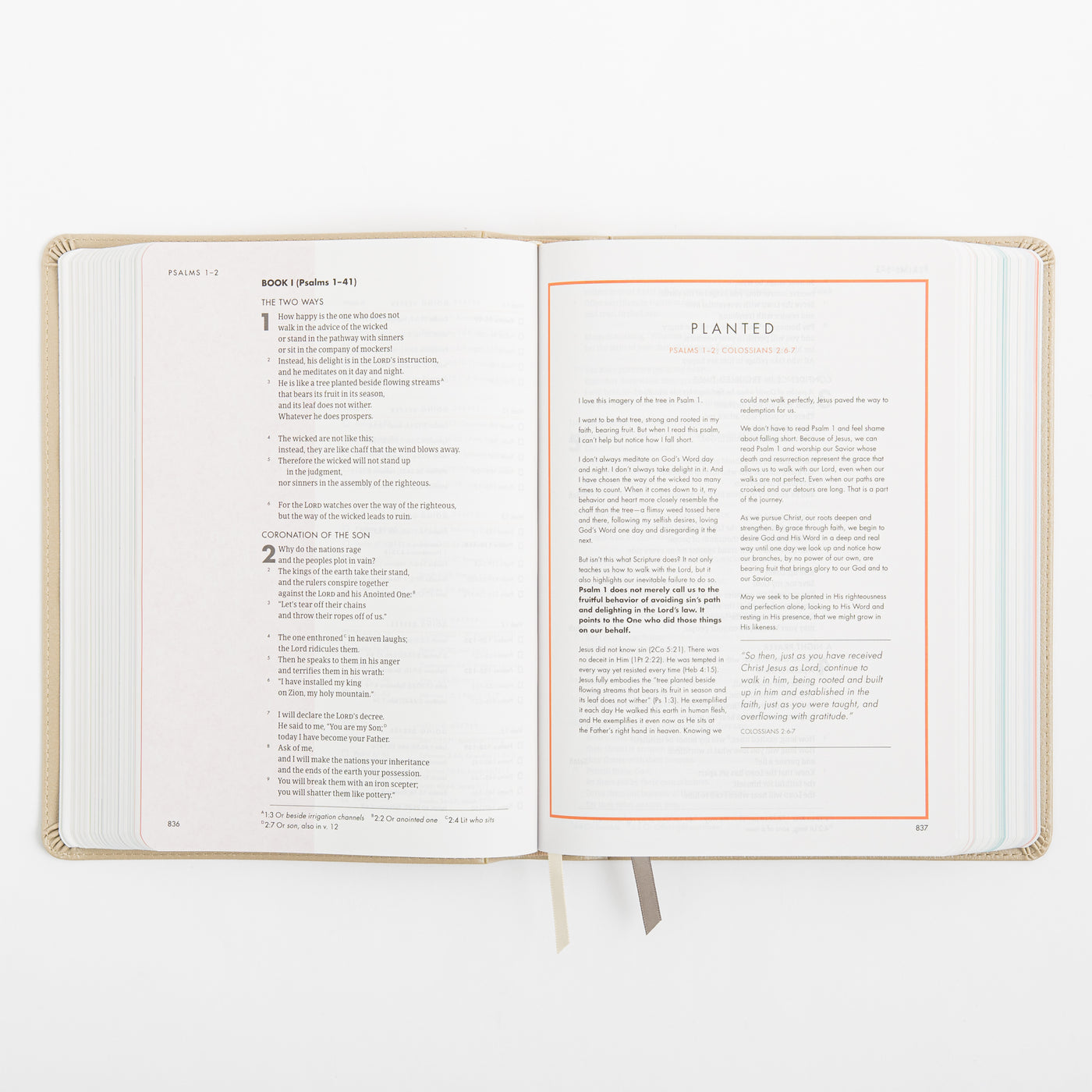 CSB She Reads Truth Bible - Champagne Gold - LeatherTouch