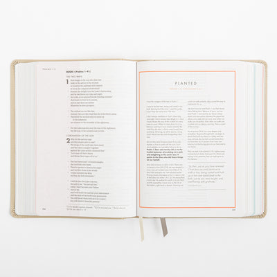 CSB She Reads Truth Bible - Champagne Gold - LeatherTouch