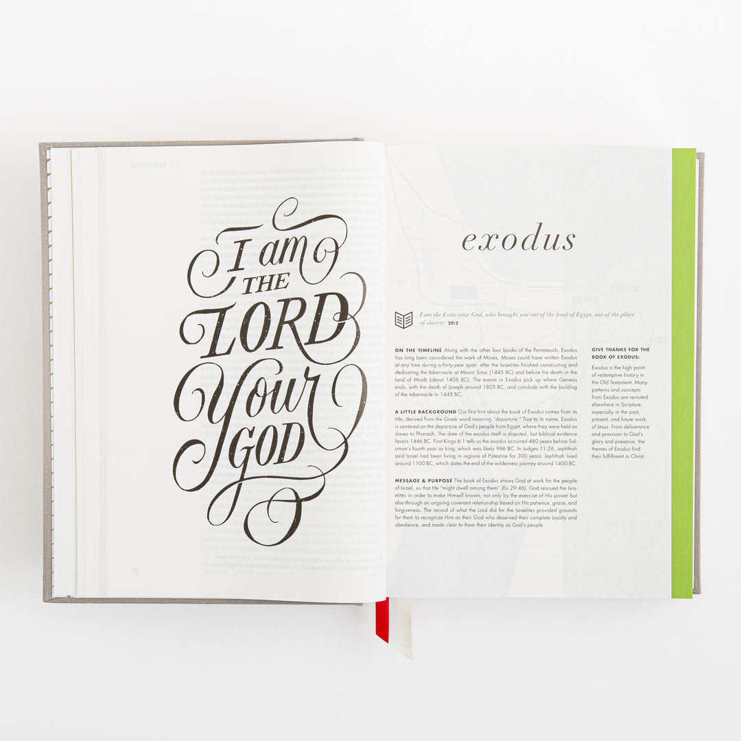 CSB She Reads Truth Bible - Gray Linen Cloth over Board
