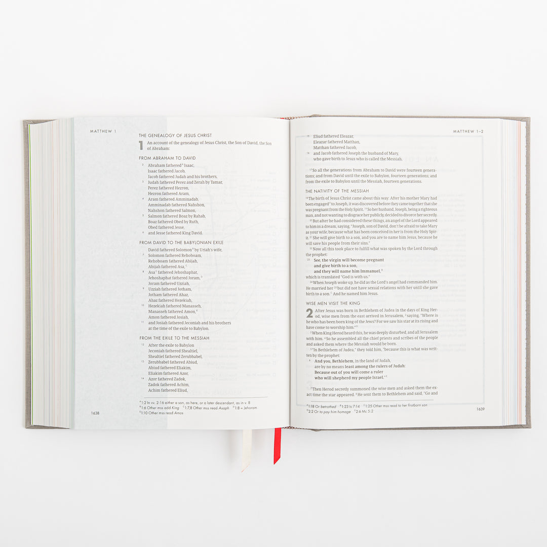 CSB She Reads Truth Bible - Gray Linen Cloth over Board