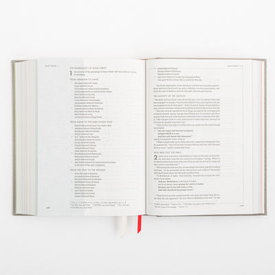 CSB She Reads Truth Bible - Gray Linen Cloth over Board