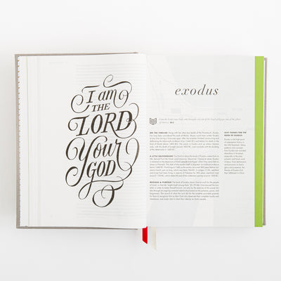 CSB She Reads Truth Bible - Gray Linen Cloth over Board