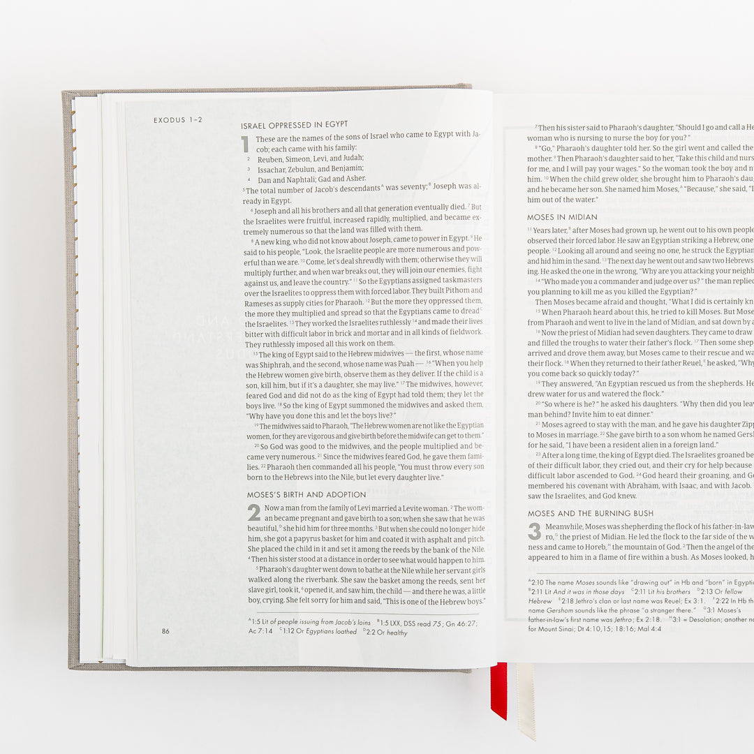 CSB She Reads Truth Bible - Gray Linen Cloth over Board