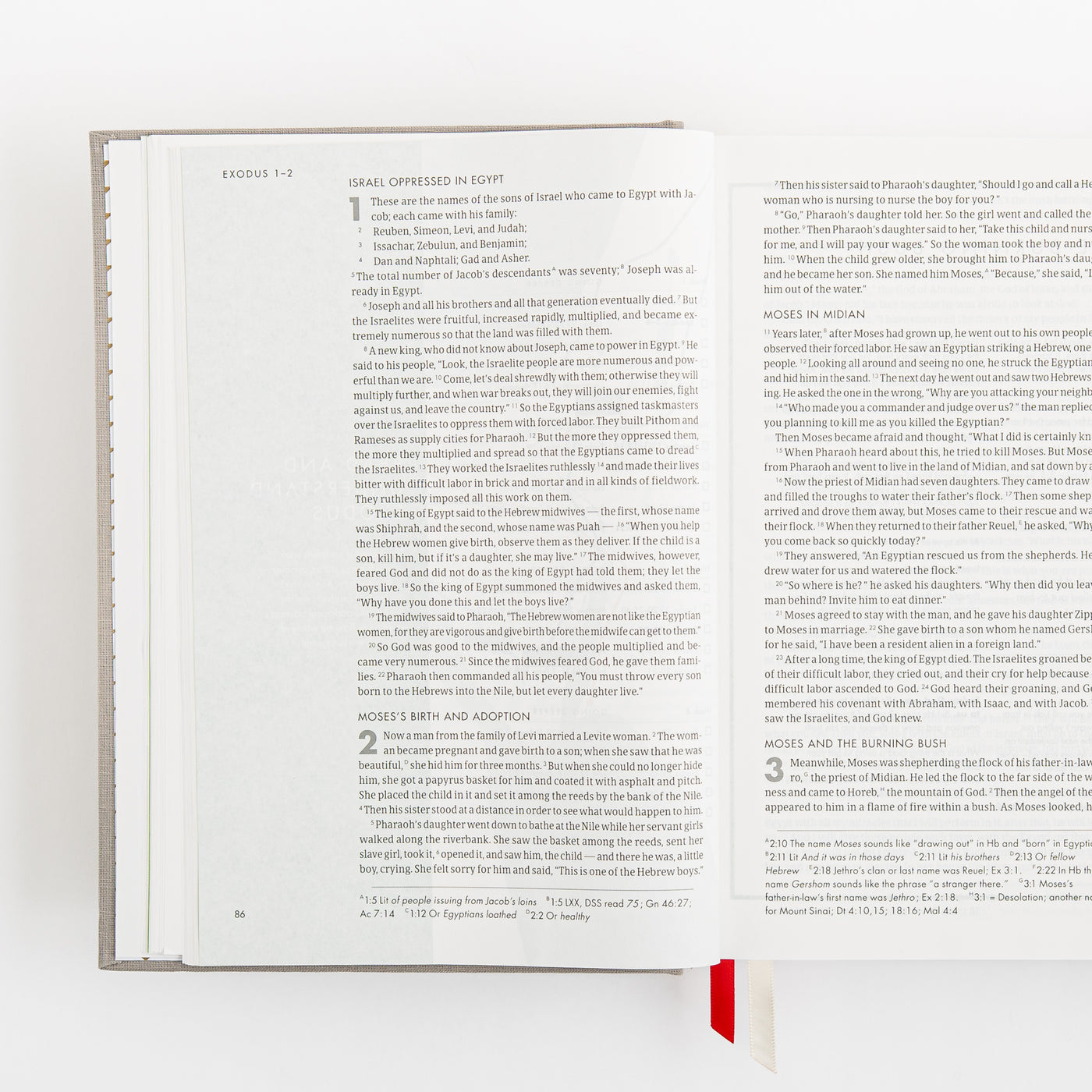 CSB She Reads Truth Bible - Gray Linen Cloth over Board