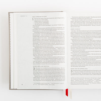 CSB She Reads Truth Bible - Gray Linen Cloth over Board