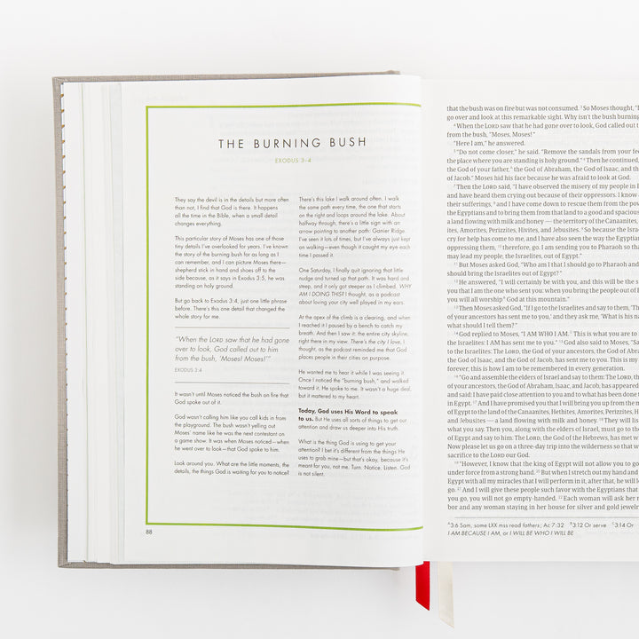 CSB She Reads Truth Bible - Gray Linen Cloth over Board