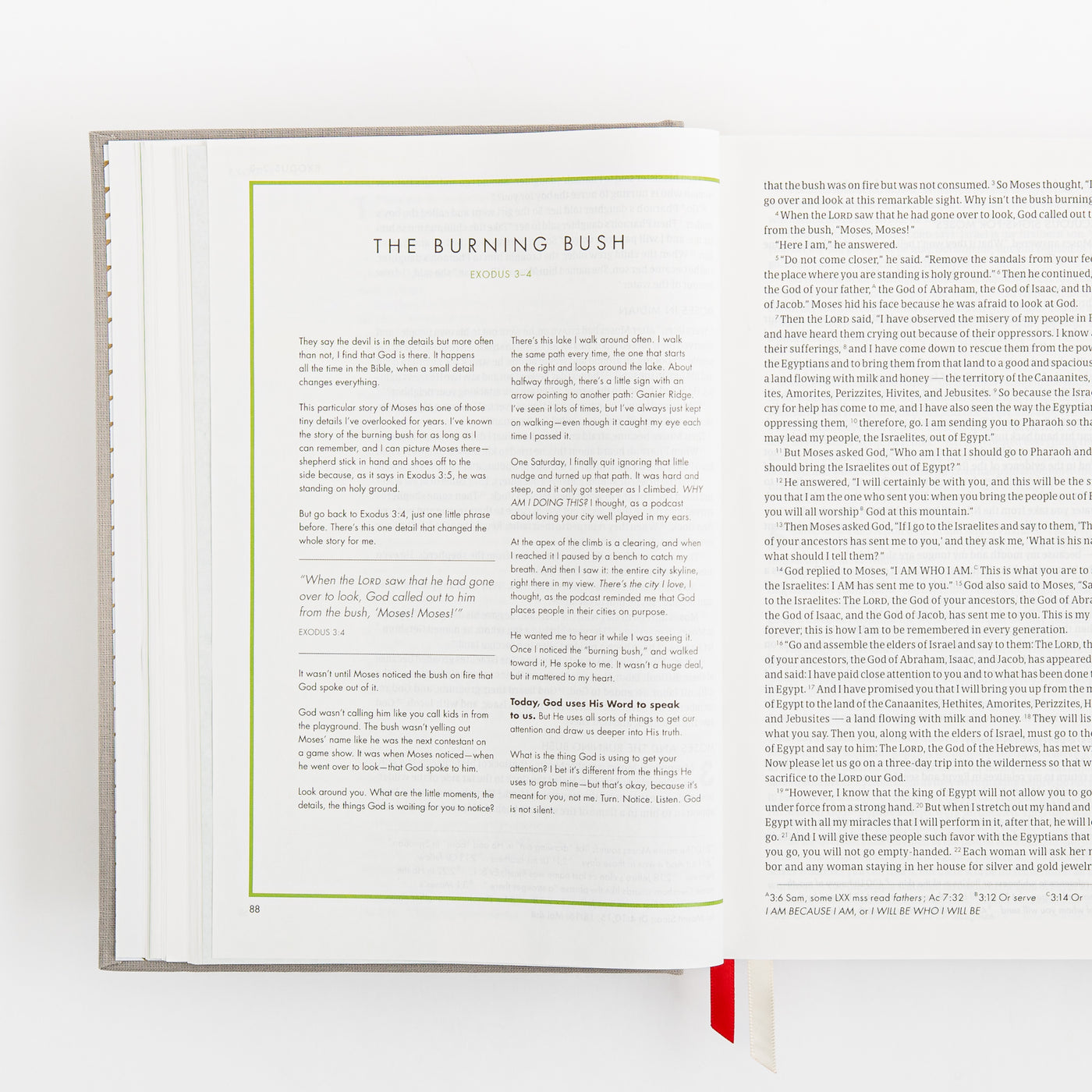 CSB She Reads Truth Bible - Gray Linen Cloth over Board
