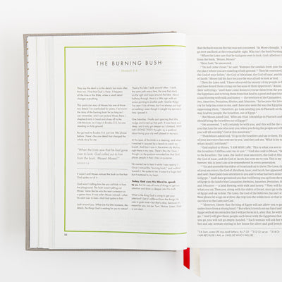 CSB She Reads Truth Bible - Gray Linen Cloth over Board