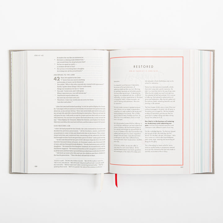 CSB She Reads Truth Bible - Gray Linen Cloth over Board