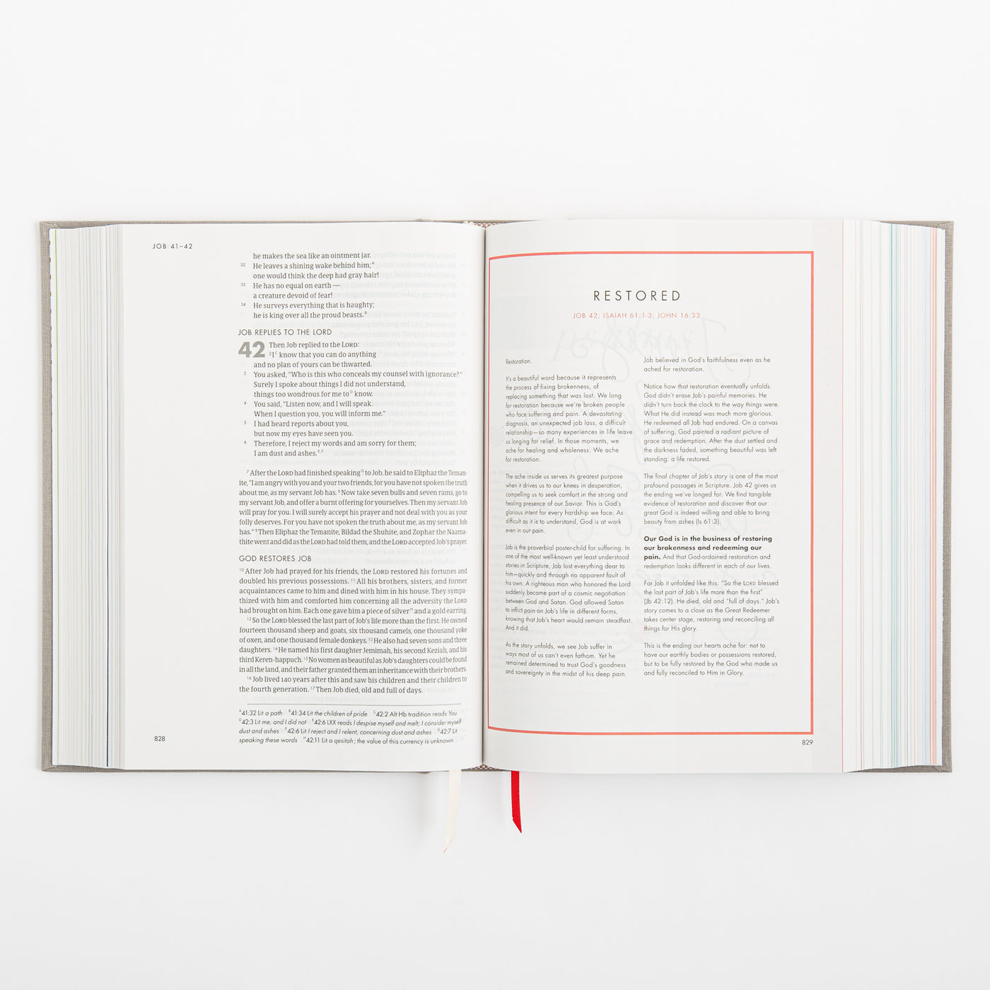 CSB She Reads Truth Bible - Gray Linen Cloth over Board