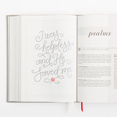 CSB She Reads Truth Bible - Gray Linen Cloth over Board