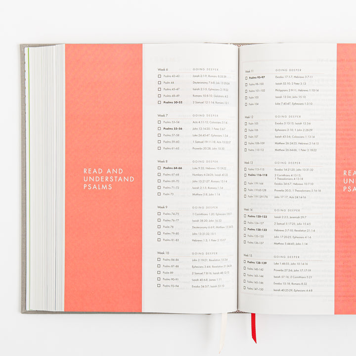 CSB She Reads Truth Bible - Gray Linen Cloth over Board