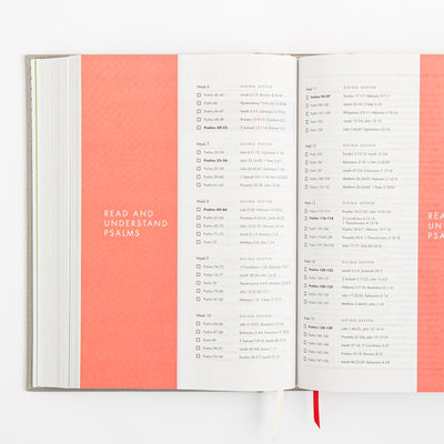 CSB She Reads Truth Bible - Gray Linen Cloth over Board