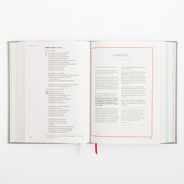 CSB She Reads Truth Bible - Gray Linen Cloth over Board