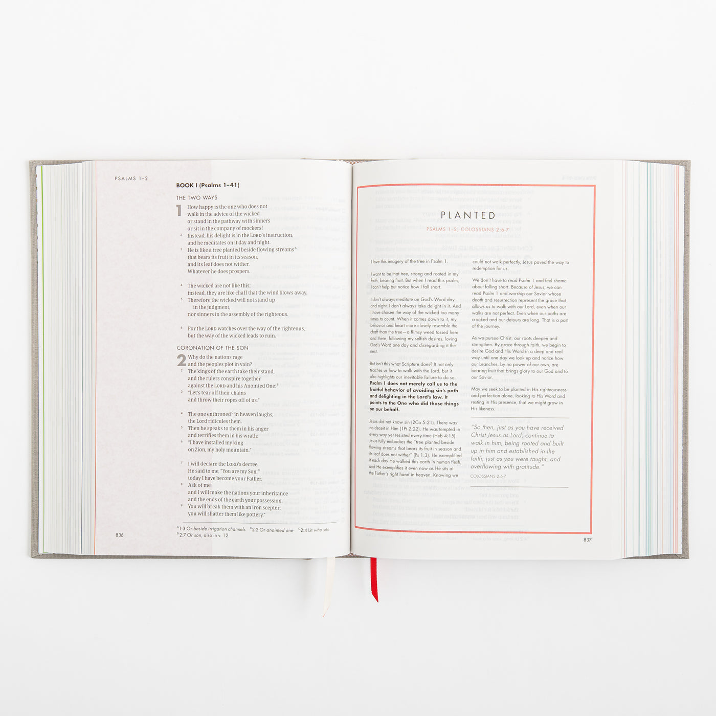 CSB She Reads Truth Bible - Gray Linen Cloth over Board