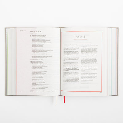 CSB She Reads Truth Bible - Gray Linen Cloth over Board