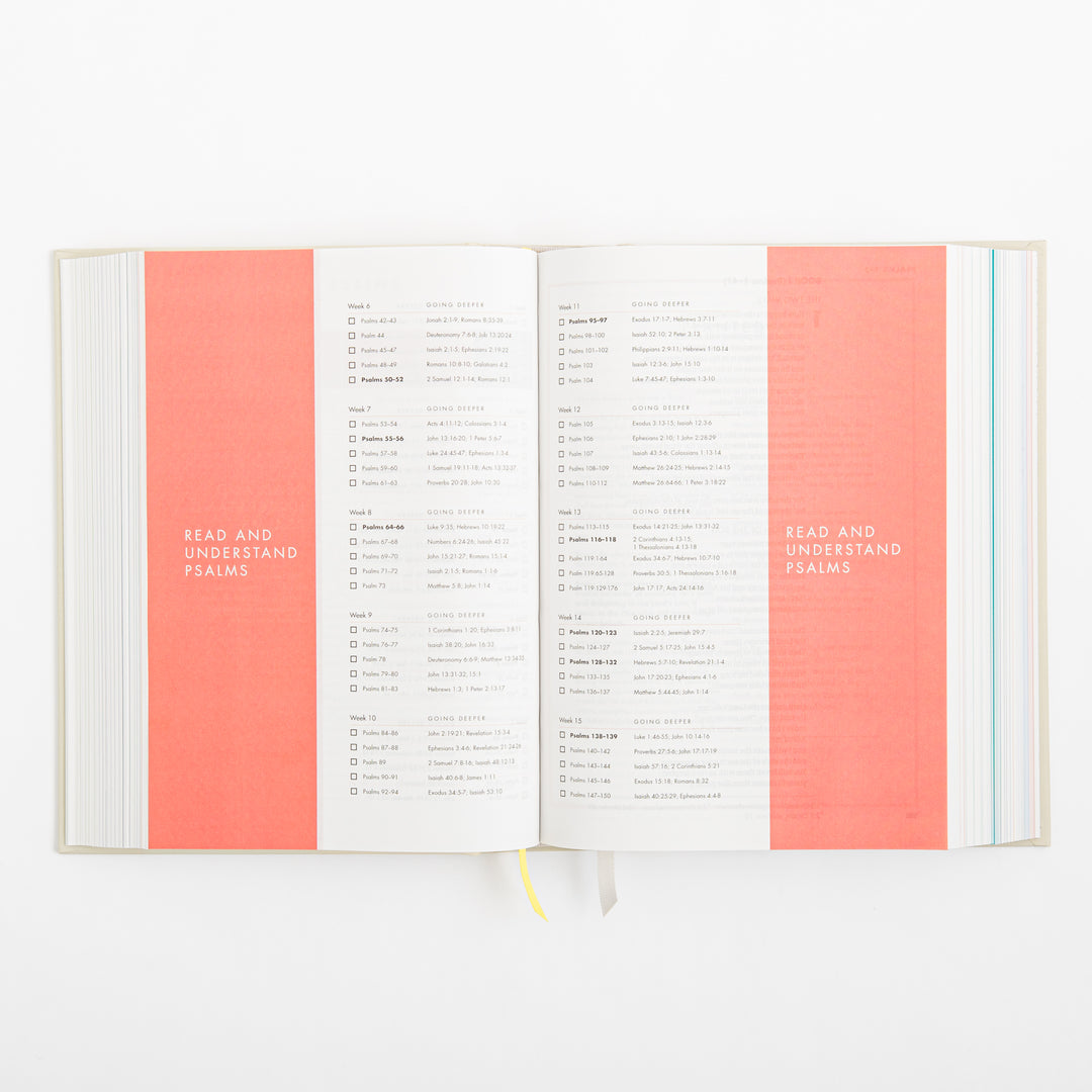 CSB She Reads Truth Bible - Hardcover - Cream