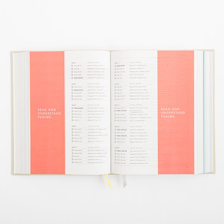 CSB She Reads Truth Bible - Hardcover - Cream