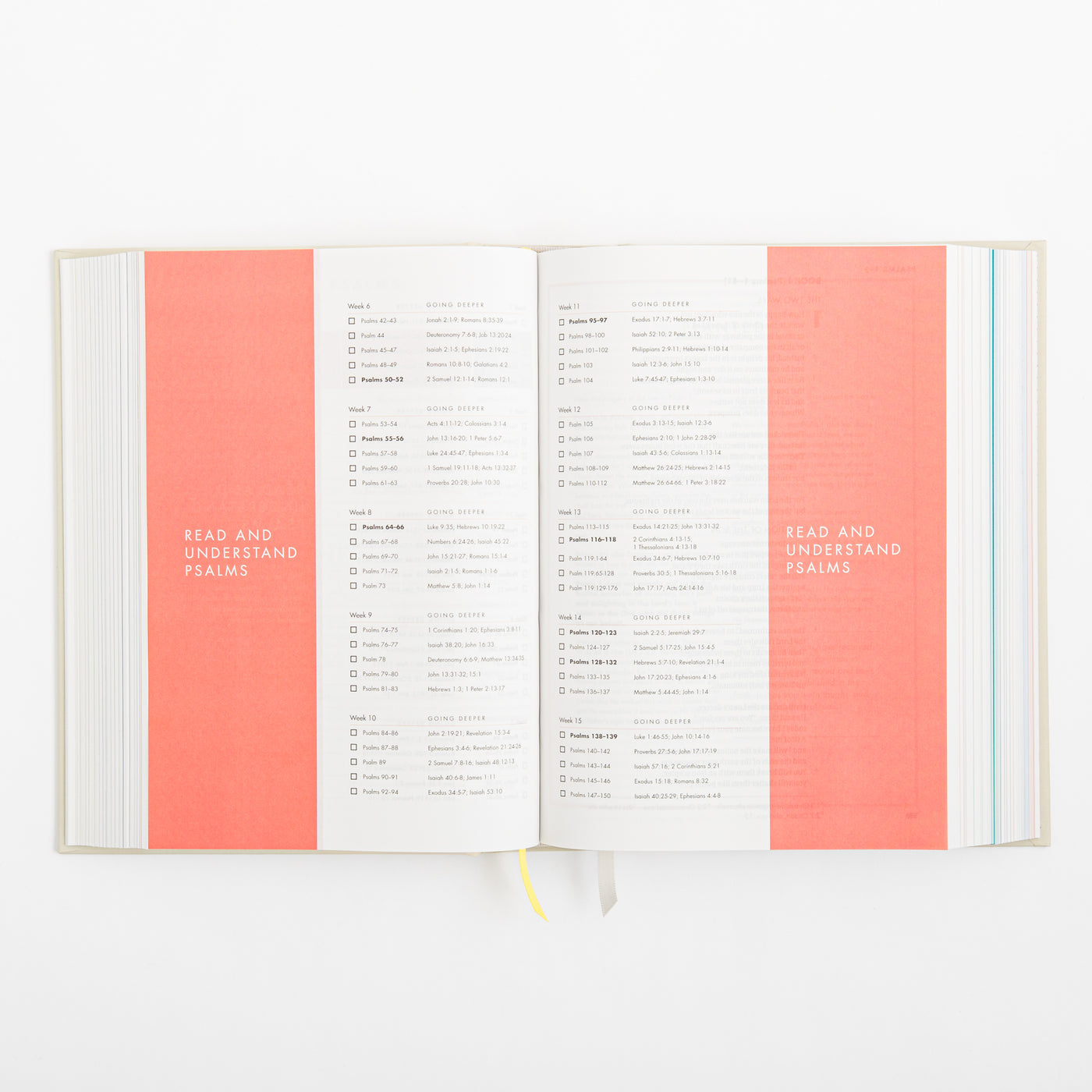 CSB She Reads Truth Bible - Hardcover